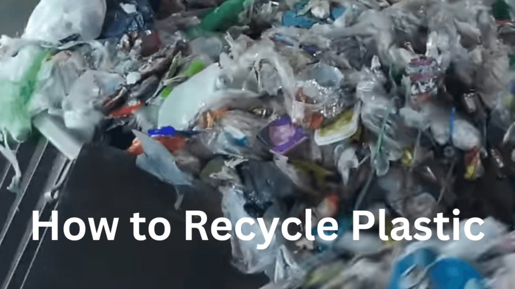How to Recycle Plastic