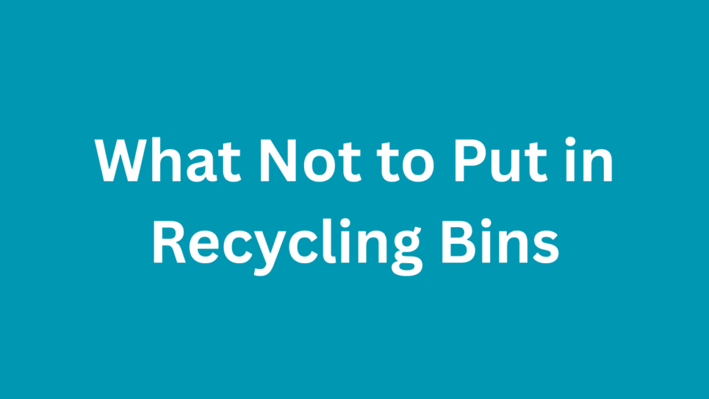 What Not to Put in Recycling Bins